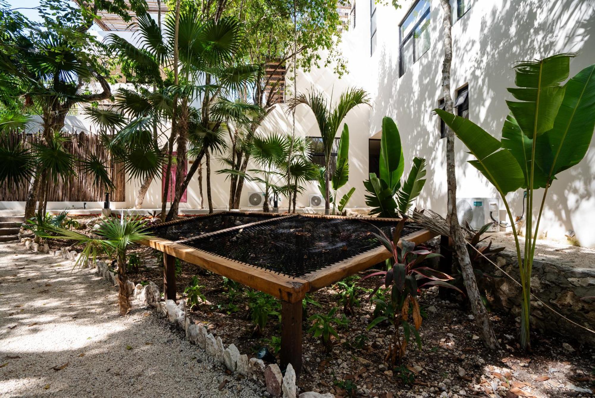 Penthouse With Private Jungle, Pool, Downtown Apartment Tulum