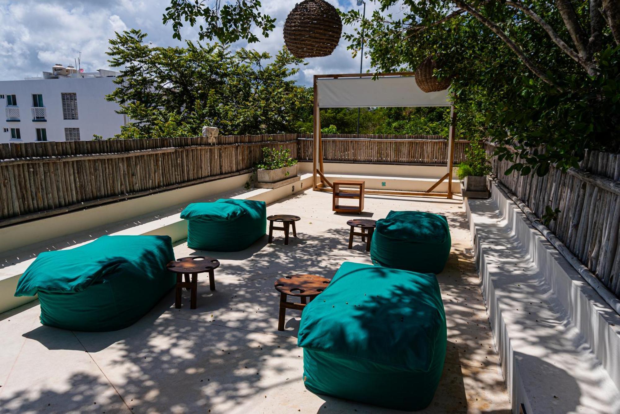 Penthouse With Private Jungle, Pool, Downtown Apartment