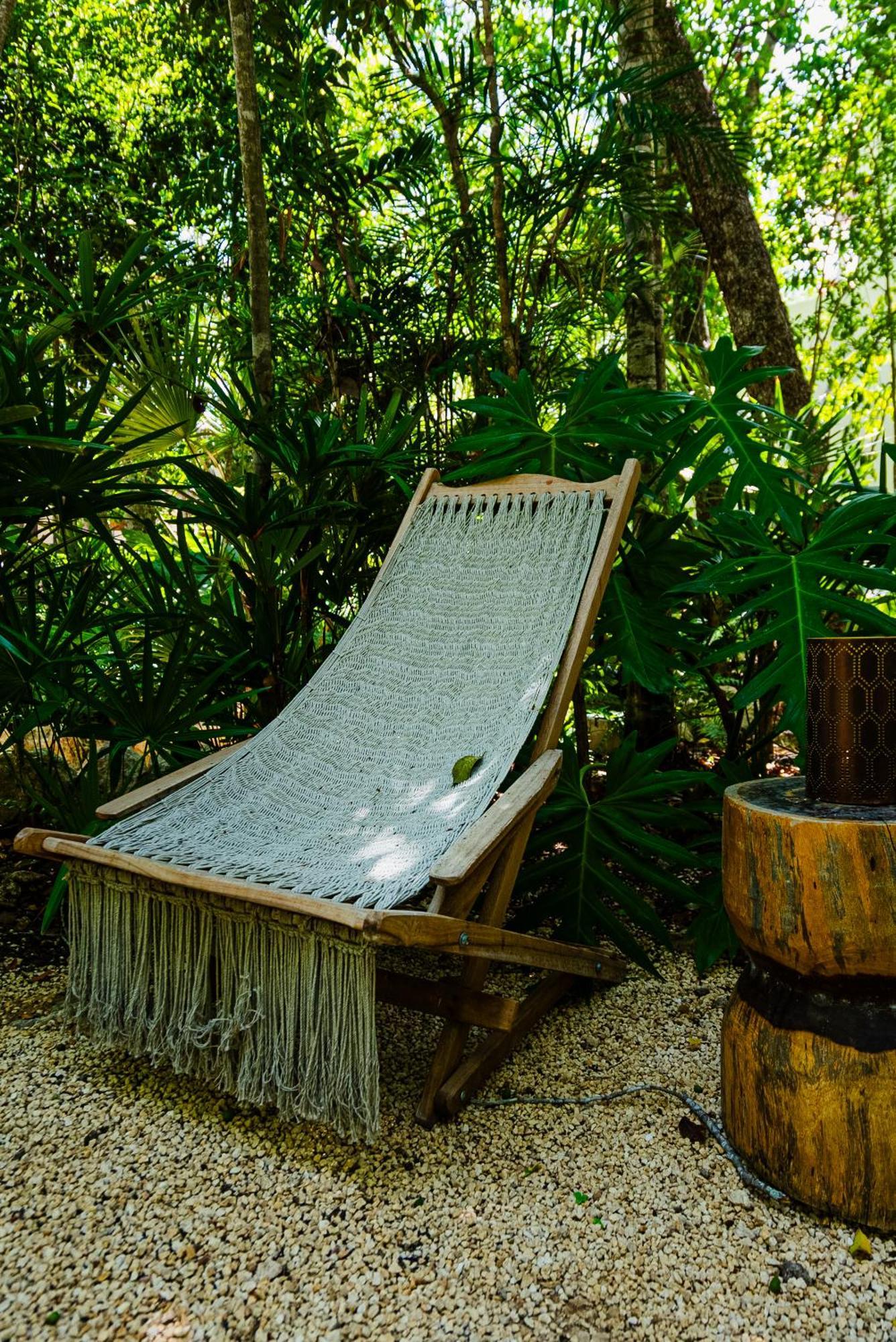 Apartment Penthouse With Private Jungle, Pool, Downtown *