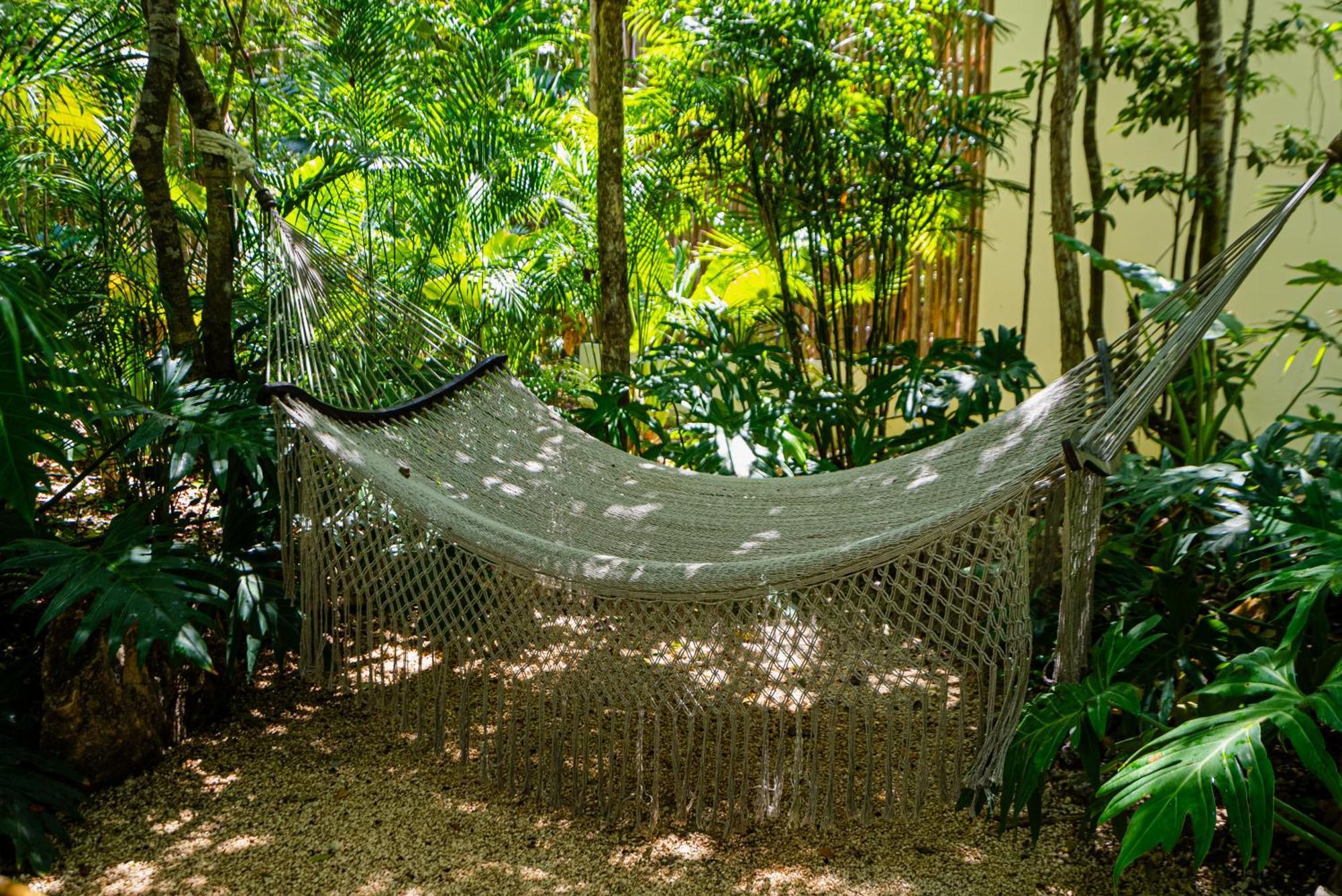 Penthouse With Private Jungle, Pool, Downtown Apartment Tulum