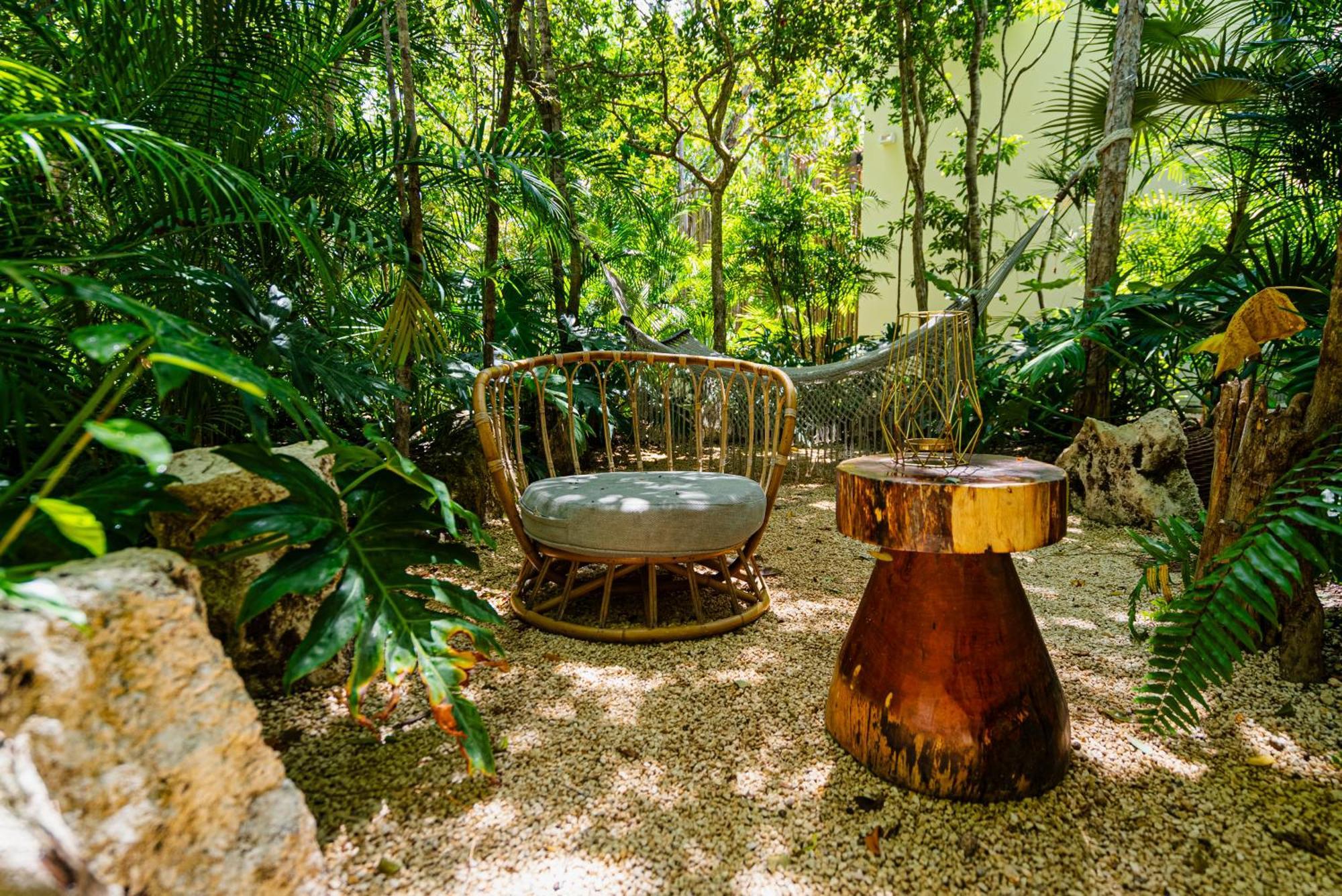 Apartment Penthouse With Private Jungle, Pool, Downtown