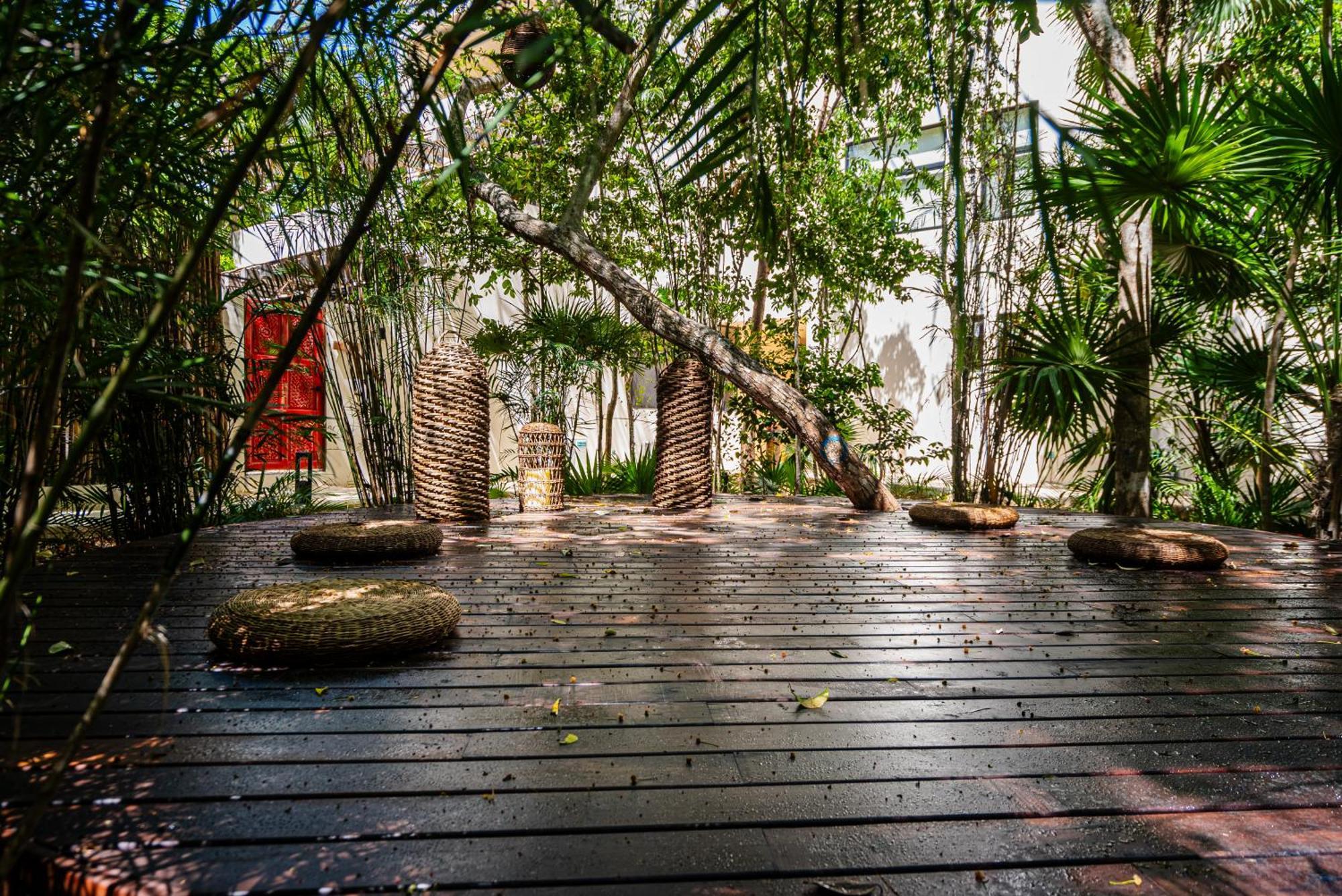 Appartement Penthouse With Private Jungle, Pool, Downtown